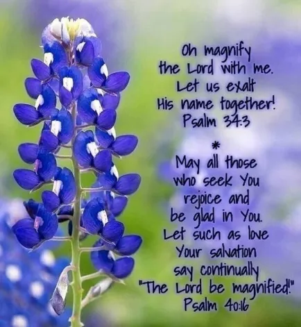 Magnifying the Lord Through Poetry