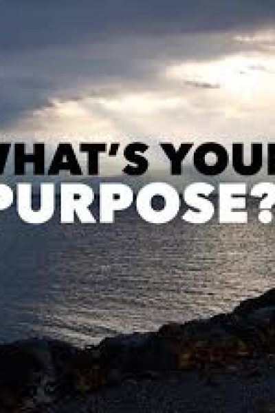 What’s Your Purpose?
