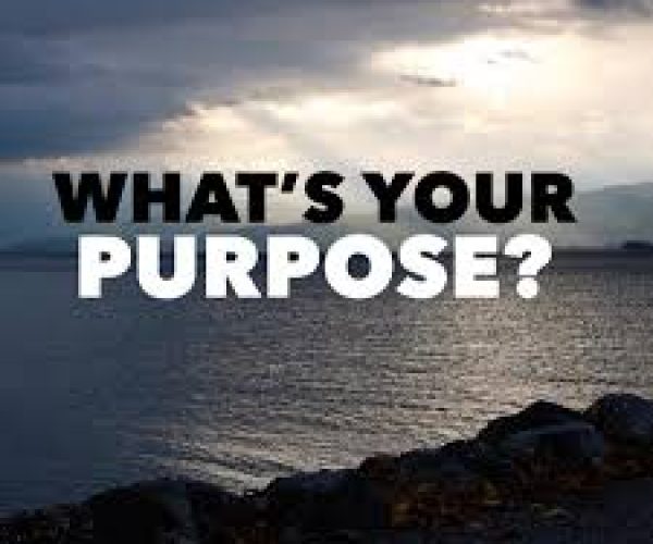 What’s Your Purpose?