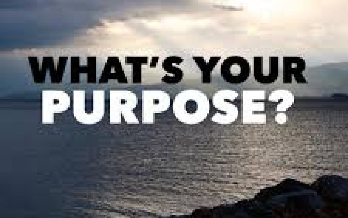 What’s Your Purpose?