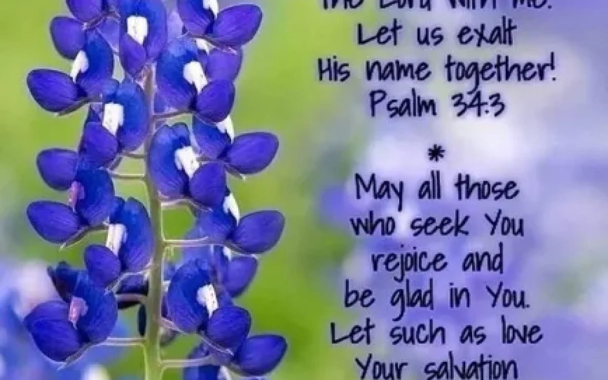 Magnifying the Lord Through Poetry